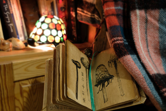 "The World of the Quirky Owl": Magical Fantasy Book (Limited Edition)