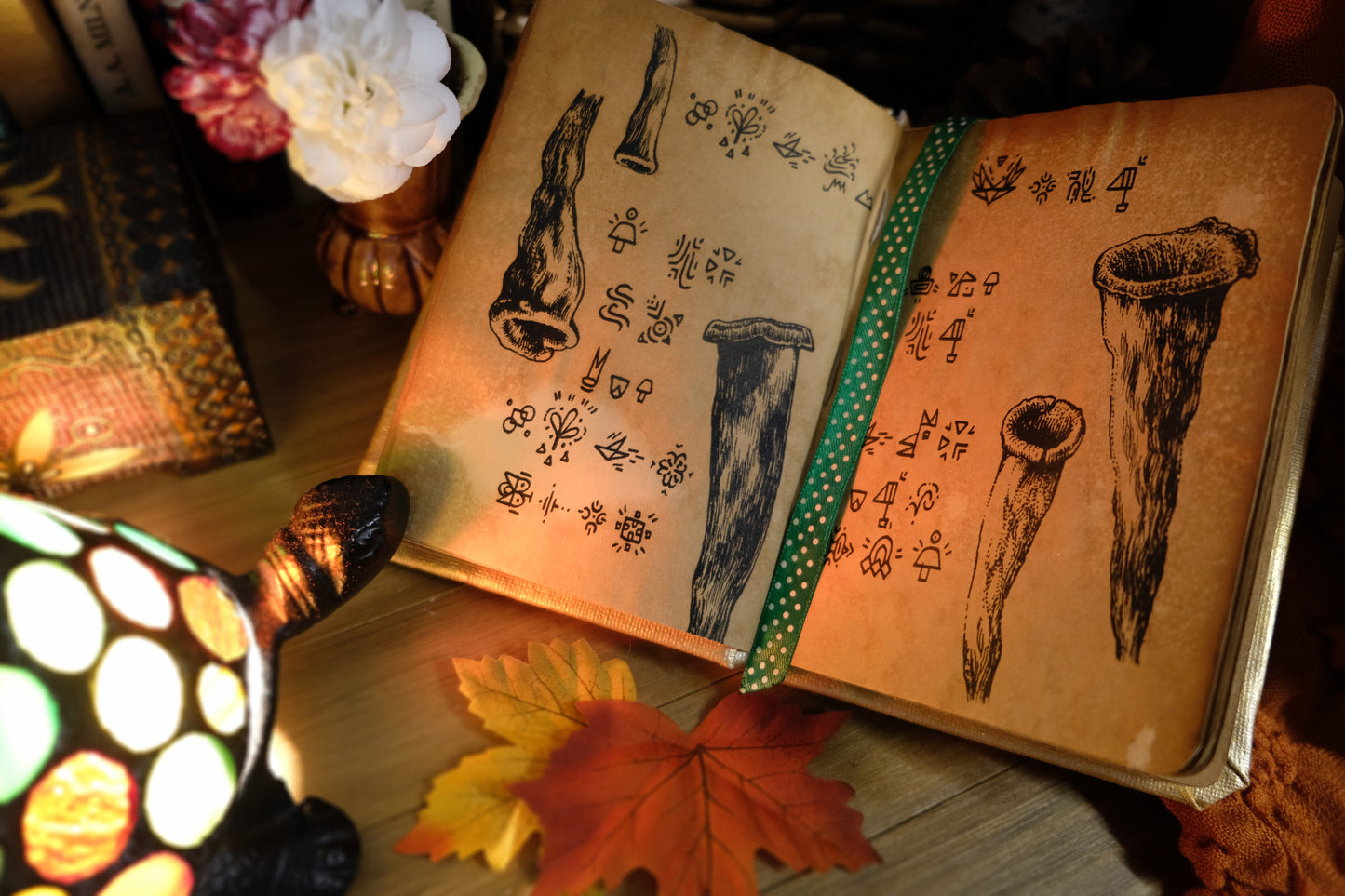 "The World of the Quirky Owl": Magical Fantasy Book (Limited Edition)