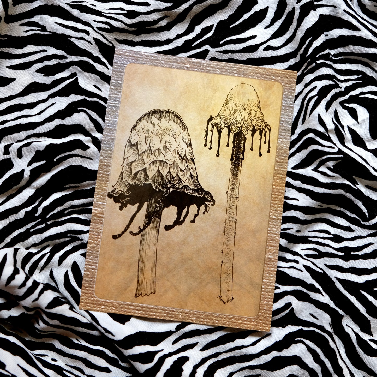 "Quirky Mushrooms" Postcard No. 4
