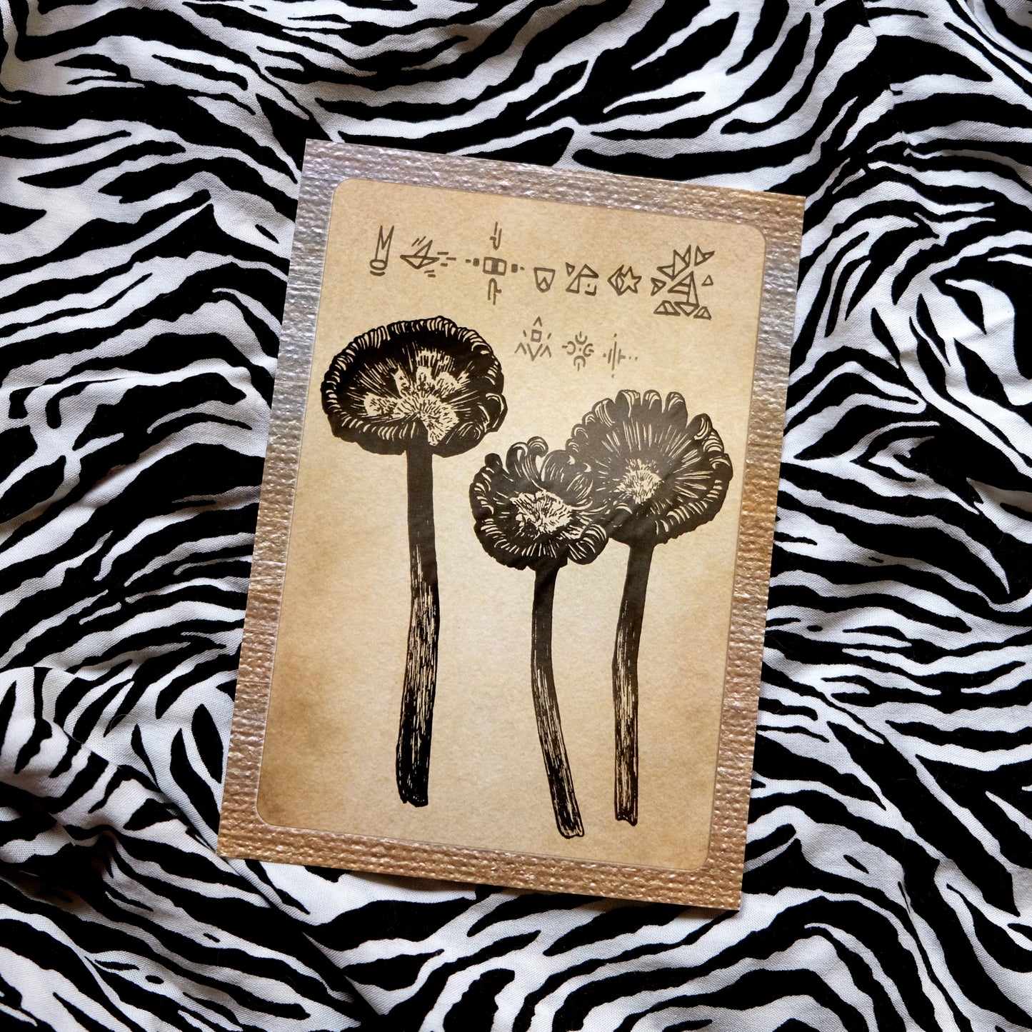 "Quirky Mushrooms" Postcard No. 5