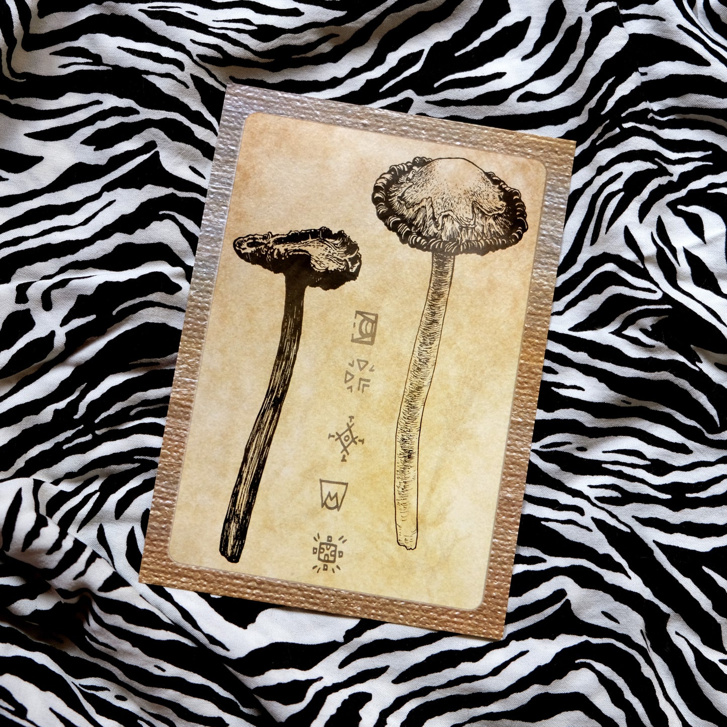 "Quirky Mushrooms" Postcard No. 6