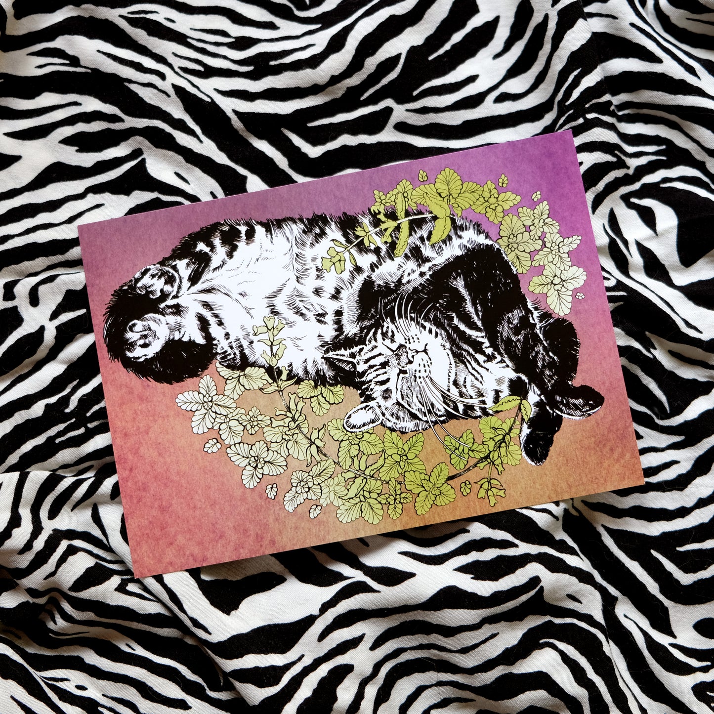 "Catnip Nap" - a Postcard with a Cute Cat