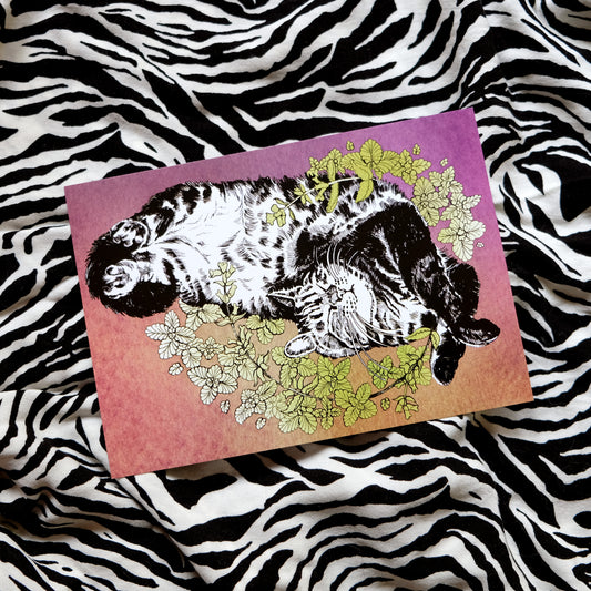 "Catnip Nap" - a Postcard with a Cute Cat