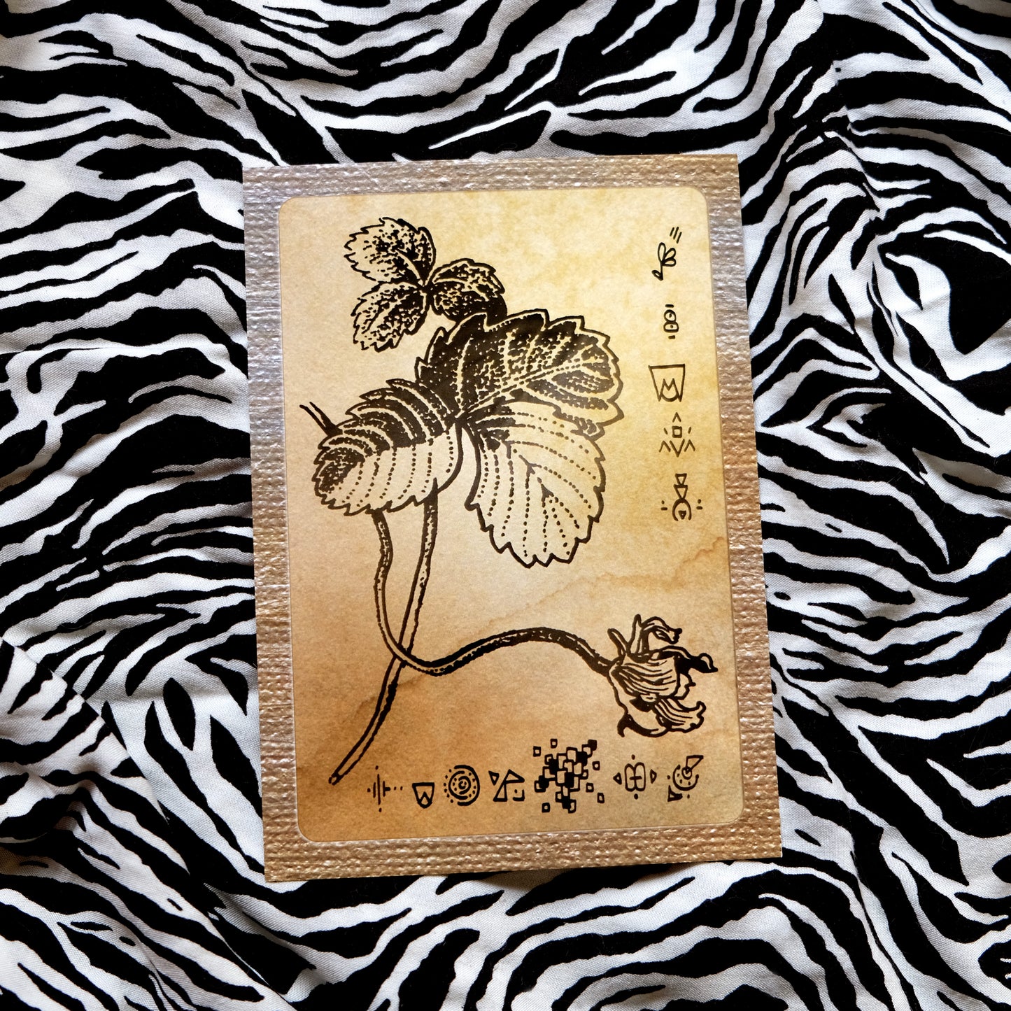"The Magical World of the Quirky Owl" Postcard No. 3