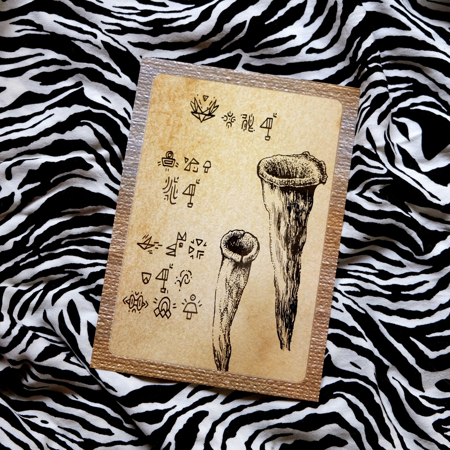 "Quirky Mushrooms" Postcard No. 1