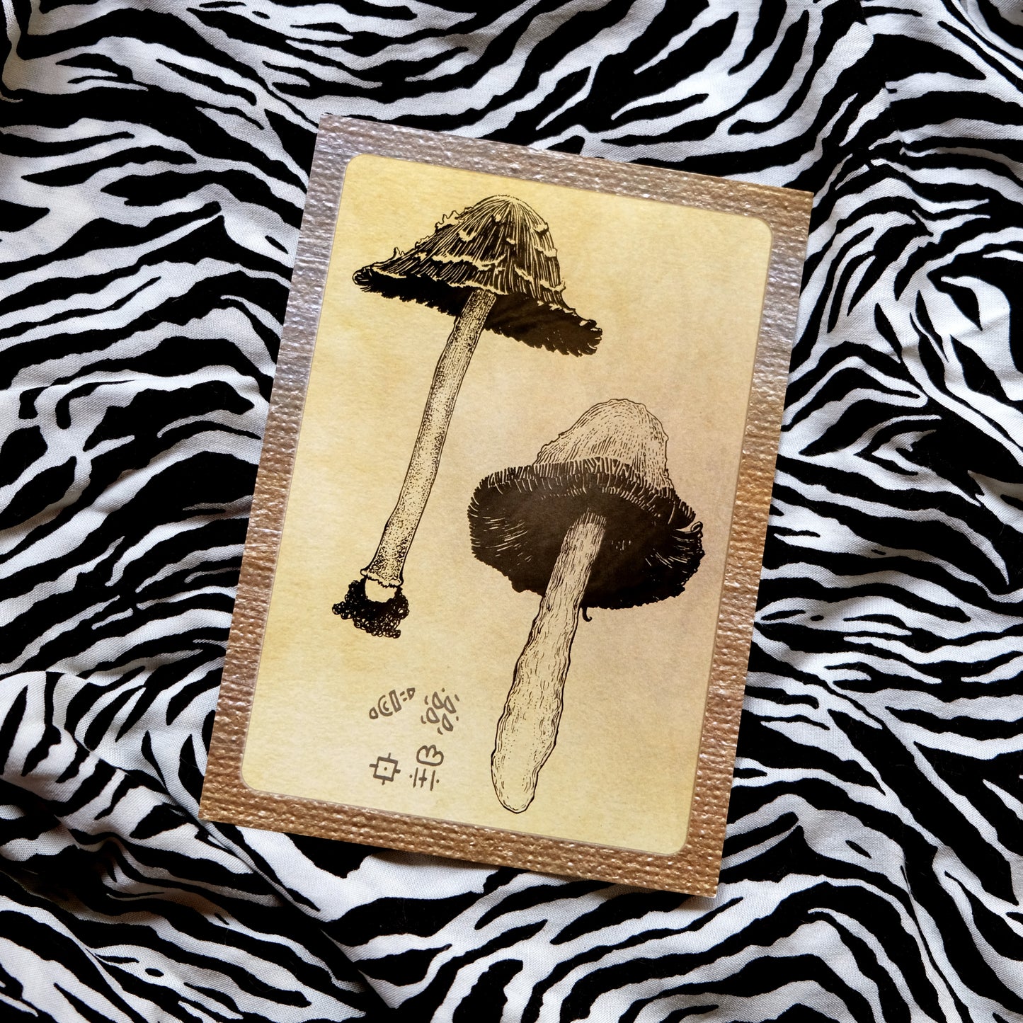"Quirky Mushrooms" Postcard No. 2