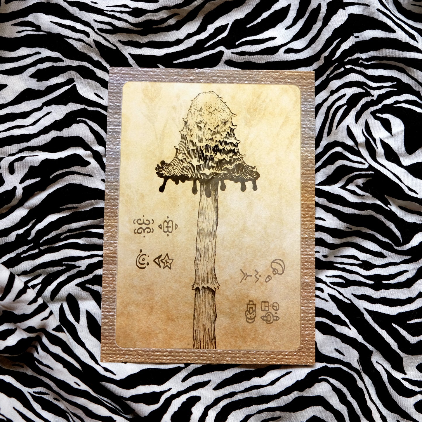 "Quirky Mushrooms" Postcard No. 7