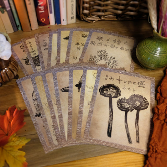 Set of 14 Mushroom and Fantasy Postcards: "The Magical World of The Quirky Owl" and "Quirky Mushrooms"